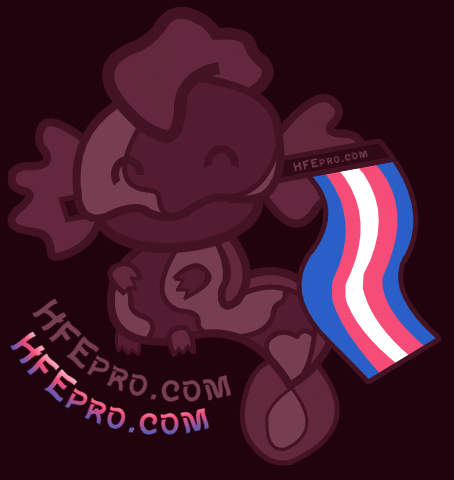 fantasy mudpuppy-inspired creature holding a trans pride flag in its mouth.